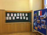 My Gallery (8/58)